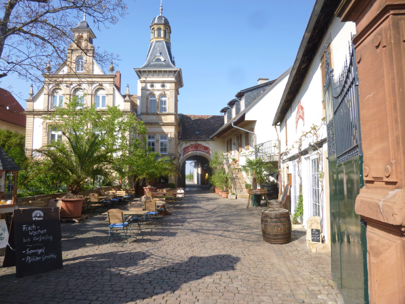 Pirate14Pfalztraining4