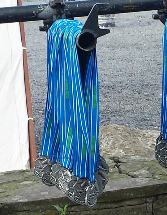 pirate15dragonheart4