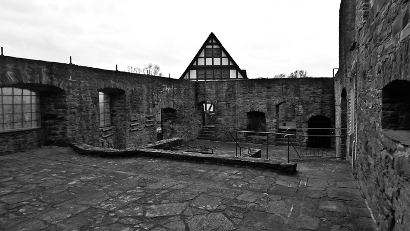 pirate15dragonheart8